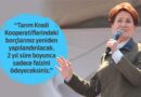 Akşener, Cumhur İttifakı’nı Eleştirdi