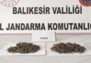 Ayvalık’ta Uyuşturucu Operasyonu