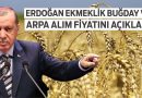 Erdoğan Buğday Fiyatını Açıkladı