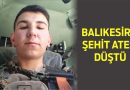 Balıkesir’e Şehit Ateşi Düştü