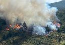Dursunbey’de Orman Yangını