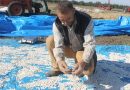 Kazak Fasulyesi Coğrafi İşaret Aldı