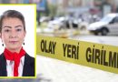 Meclis Üyesi Saldırıya Uğradı