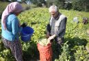 Kadın Üretimi ve İstihdam Güçlendi