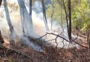 Kazdağları’nda Orman Yangını
