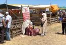 Kurban Pazarı’nda Bayram Arefesi Hareketliliği