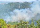 Orman Yangınlarına Müdahale Sürüyor