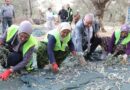 Edremit Belediyesi’nde Zeytin Hasadı Başladı