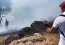 Ayvalık’ta Orman Yangını