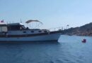 Ayvalık Adaları’nda Deniz Çayırları Korunuyor