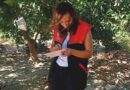 Akdeniz Meyve Sineği Uyarısı