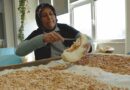 Geçmişten Geleceğe Miras