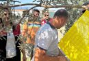 Zeytin Sineğiyle Mücadele için Tuzak Dağıtıldı