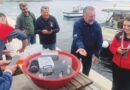 400 Istakoz Yavrusu Yapay Resiflere Bırakıldı