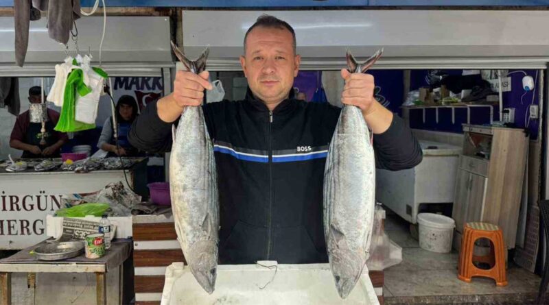 Bandırma Balık Hali’nde Sezon Hareketliliği Başladı