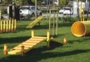 ‘Pati Park’ Hizmete Açıldı