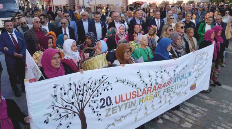 Zeytin Hasat ve Turizm Festivali Başladı
